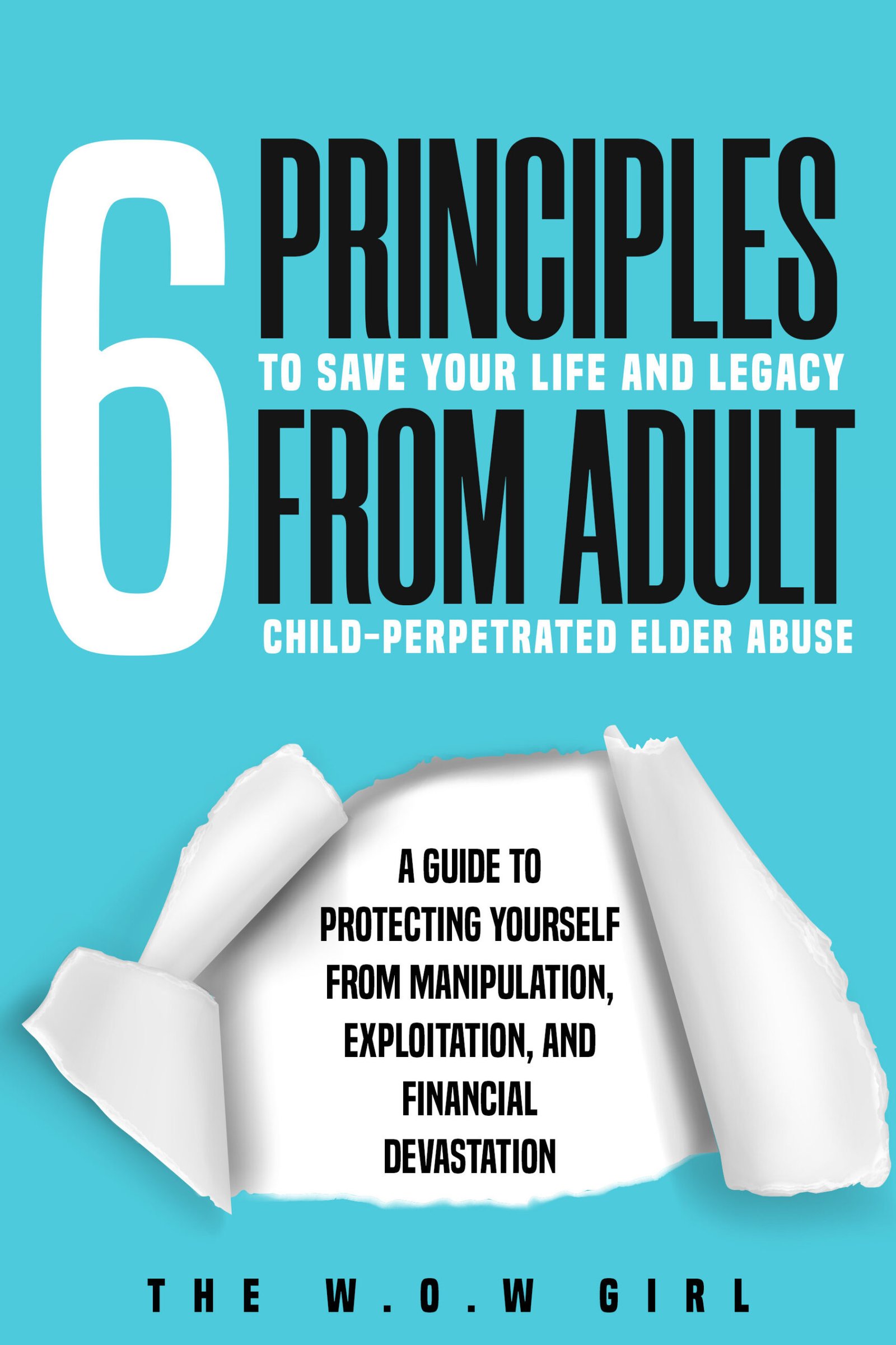 6 Principles Book Cover